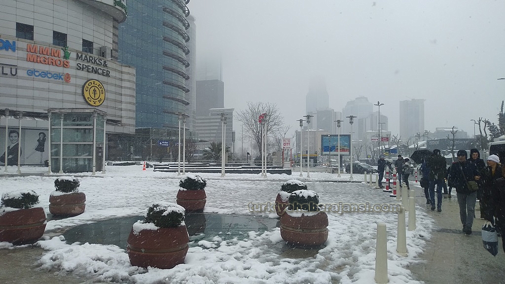 2019/02/2019-02-25-06-15-34.jpg