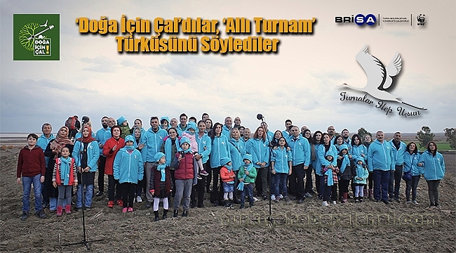 ‘Allı Turnam Bizim Ele Varsın’ Diye Söylediler