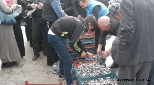 2 Ton Hamsi Bedava Dağıtıldı