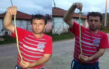 Bu Adamın Elindeki Ne?