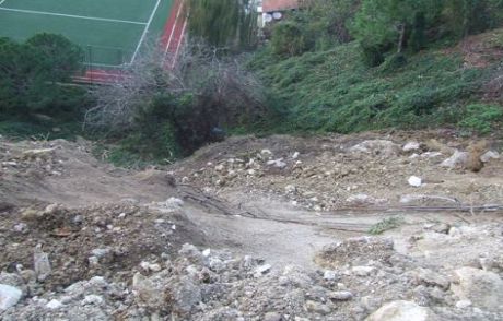 Şile Belediyesinden Çevre Katliamı