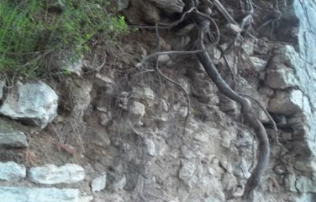 Topkapı Surları Yok Olmak Üzere!