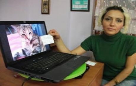 Kediyi Kaçırdı Fidye İstedi!