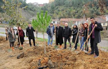 300 Fıstık Çamı Toprakla Buluştu