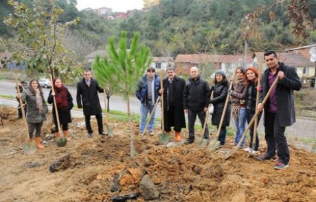 300 Fıstık Çamı Toprakla Buluştu