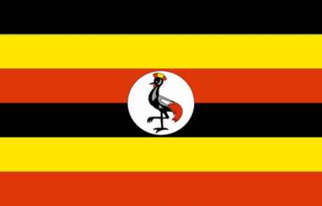 Uganda'da Zatürreli Veba Salgını
