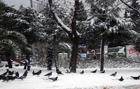 Kar İstanbul'u Nezaman Terk Edecek?