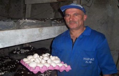 Bir Rüya Gördü Hayatı Değişti