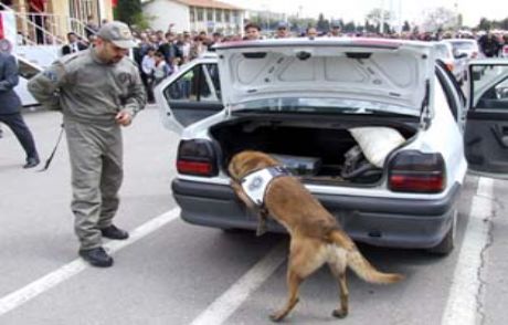 Narkotik Köpeğinin Başarısı
