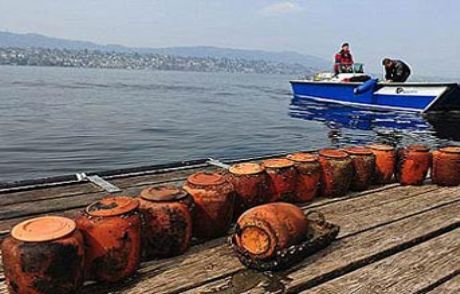 Zürih Gölü'nden Çıkan Dehşet!