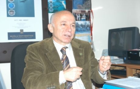 Köpekbalığı Değil, Akdeniz Zarganası