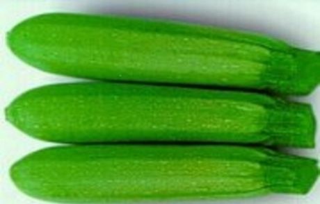 87.5 Kilo Kabak Sattı, 1 Lira 66 Kuruş Kazandı