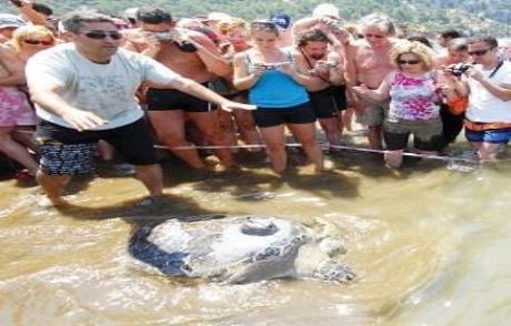 Kaptan Cousteau’dan Yadigâr