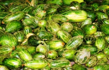 Viranşehir'de Şelengo Yok Satıyor