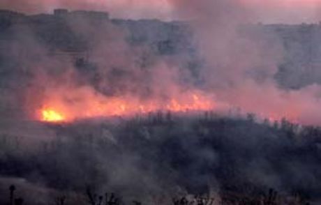 Orman Yangını Bu Kez Kuşadası'nda
