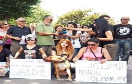 Asıl Suç Kötü İnsanlarda
