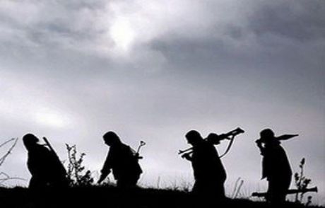 Polis Karakoluna Taciz Ateşi