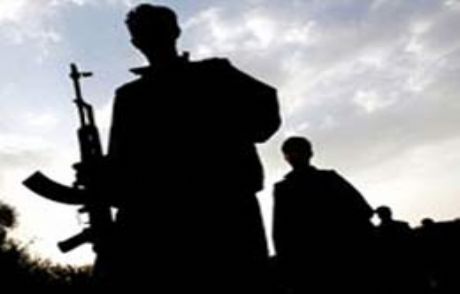 7 Pkk'lı Şemdinli'de Toprağa Verildi
