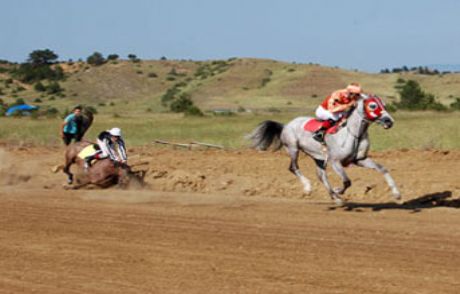 Eyloşum Öldü Jokeyi Yaralandı
