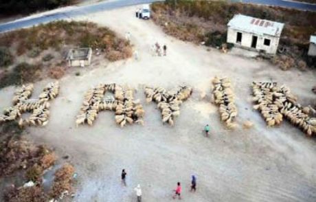 En İlginç -hayır-