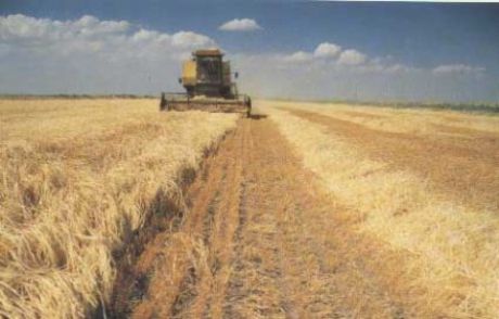 Türkiye İle Kanada Tarımda İşbirliği Yaptı