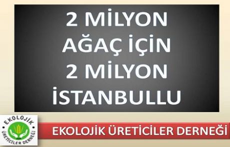 İstanbul Boğazın Da Mum Yakacaklar