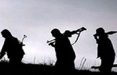 Silopi'de 7 Terörist Teslim Oldu