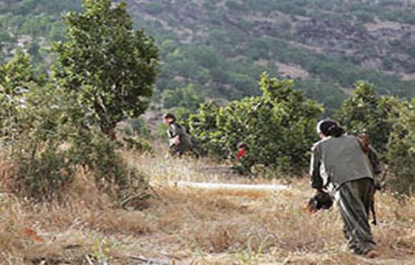 Pkk'da Çözülme Başladı