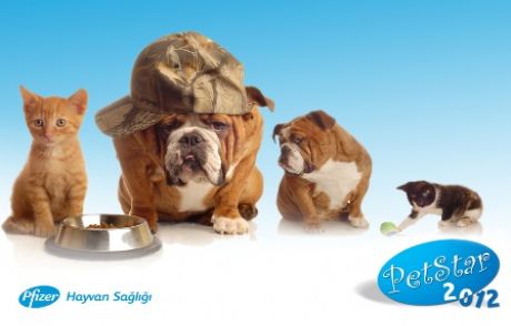 2012 Petstar Yarışması Başladı!