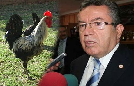 Horozu Devlet Krizi Çıkardı!