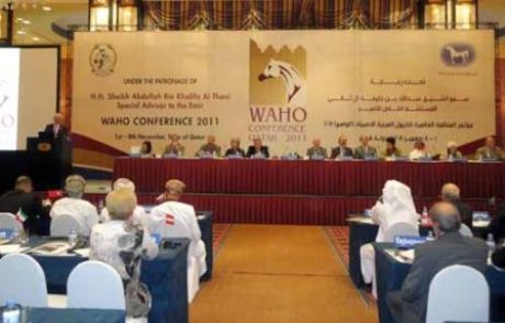 Waho 2011 Konferansı