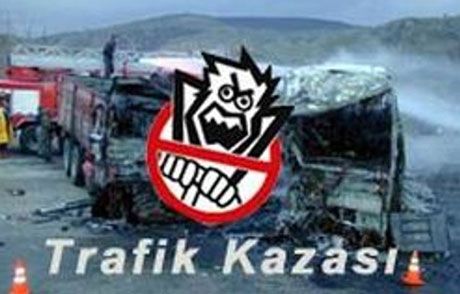2010'da 4 Bin Can Aldı