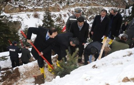 Şehit Piyade İçin Hatıra Ormanı