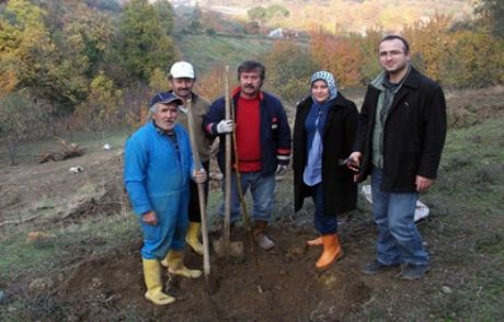Meyve Fidanı Dikimindeki İncelikler Anlatıldı