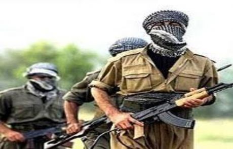 Pkk'nın Hangi Lideri Yakalandı?