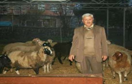 179 Kaçak Canlı Hayvan Ele Geçirildi