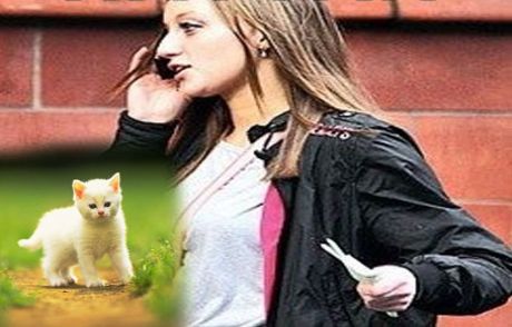 11’nci Kattan Fırlatılan Kedi