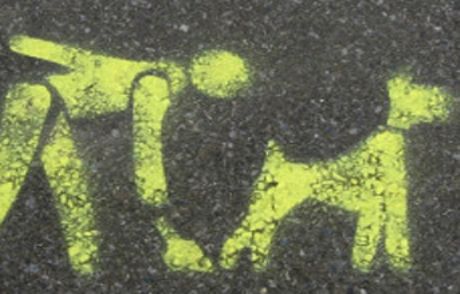 Köpek Dışkısını Getir, Altını Ggötür