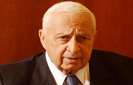 5 Yıl Aradan Sonra Uyandı