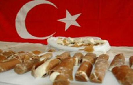 Yakalanmasaydı Nerede Patlatacaklardı?