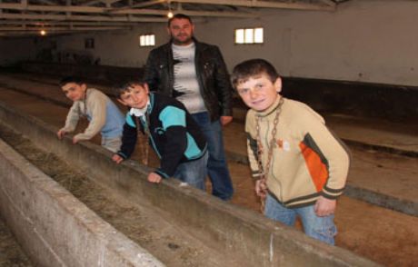 Ahıra İnek Yerine 3 Oğlunu Bağladı