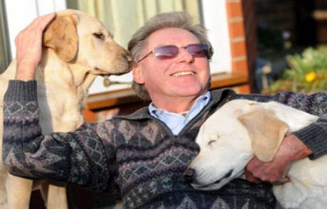 Rehber Köpeğe Rehber Köpek