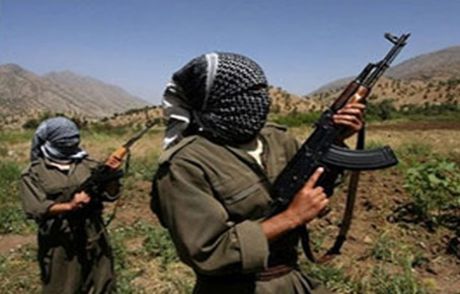 Diyarbakır'da Bir Terörist Teslim Oldu