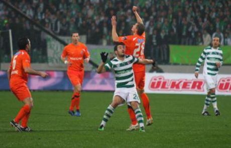 Timsah 'avcı'ya Takıldı!