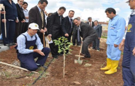 Hastaların Da Dikili Ağacı Oldu