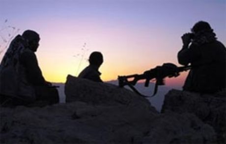 Pkk, 4 Militanını Yakarak Katletti