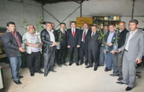 Aksaray'da Köylere Bin Adet Gül Dağıtıldı