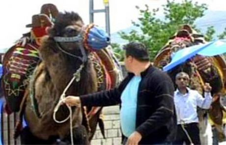 Başbakan İçin Olağandışı Karşılama