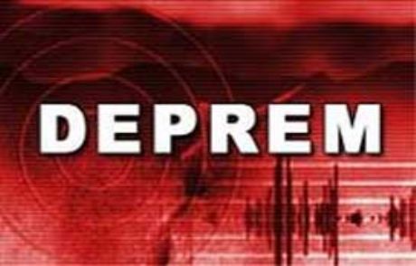 Yeni Gine'de 6,5'lik Deprem