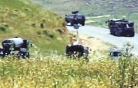 Bitlis'te Bir Terörist Öldürüldü!